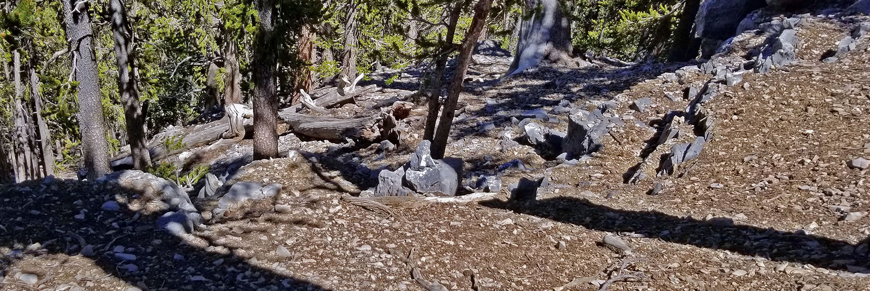 Came Across a Few Cairns Placed By Others. It Was Easy to Retrace My Steps Down the Ridge | Lee to Kyle Canyon | Gradual Mid Ridge Approach | Mt. Charleston Wilderness | Spring Mountains, Nevada