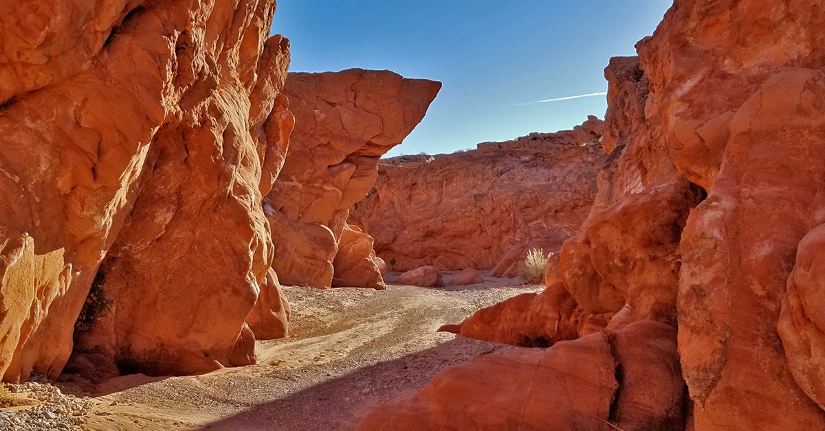 Charlie's Spring, Valley of Fire State Park, Nevada