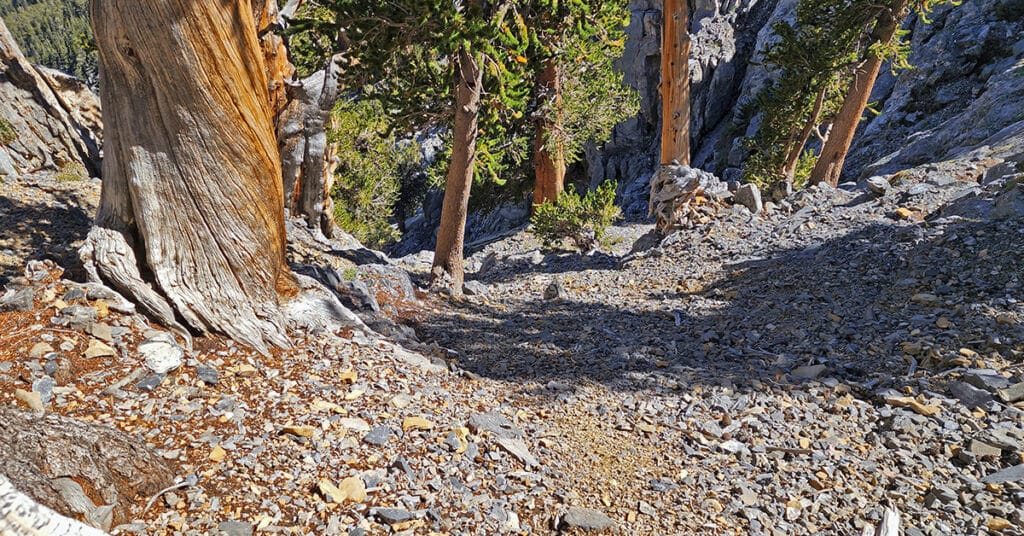 Daily Conditioning for Hikers and Trail Runners