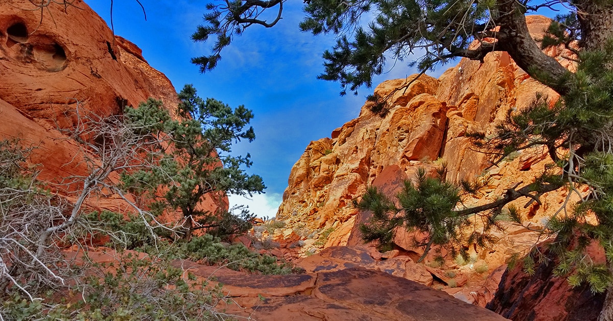 Grand Loop Calico Basin Red - Feature Image Grand Loop Calico Basin Nevada 