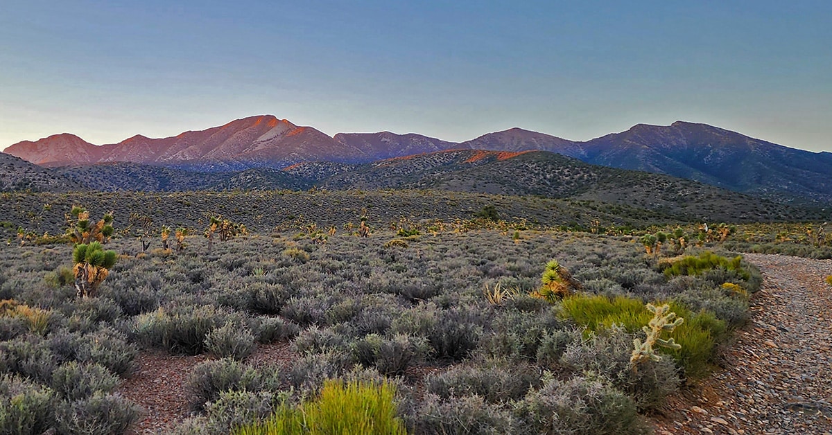 Kyle Canyon Grand Crossing North, NV Las Vegas Area Trails