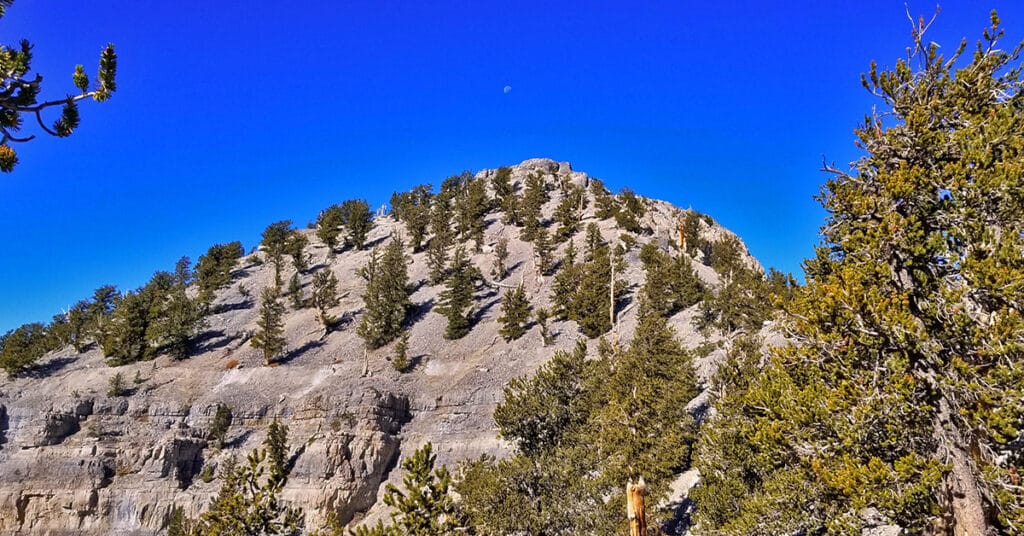 Lee Peak from Kyle Canyon | Mt. Charleston Wilderness | Spring Mountains, Nevada
