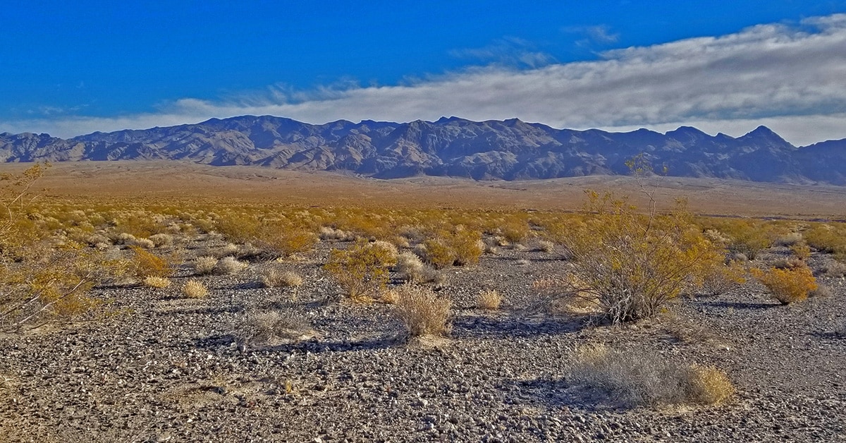 Lower Alamo Road | Sheep Range, Nevada | Las Vegas Area Trails