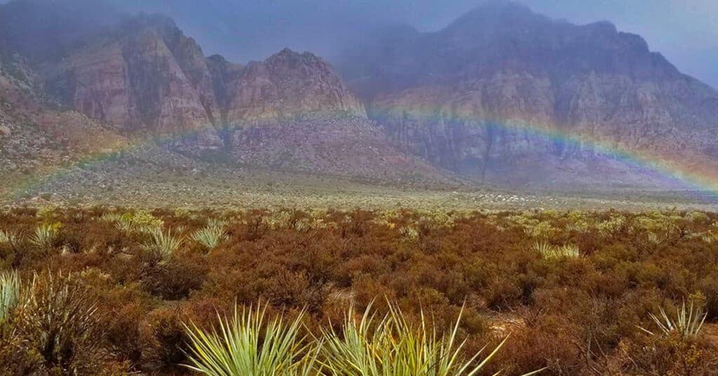 Middle Oak Creek Trail | Rainbow Mountain Wilderness, Nevada