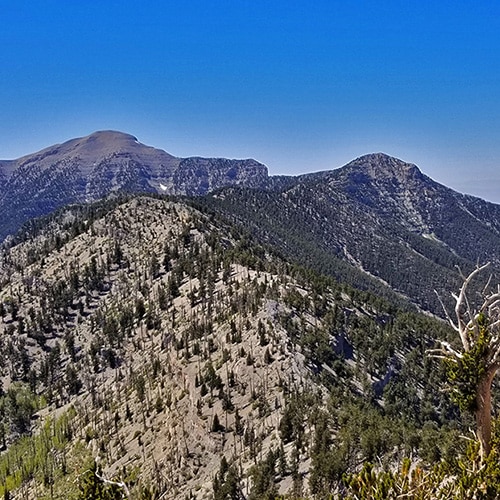 Fletcher Peak, Mummy Mountain, Lee Peak Circuit | Mt Charleston Wilderness | Spring Mountains, Nevada