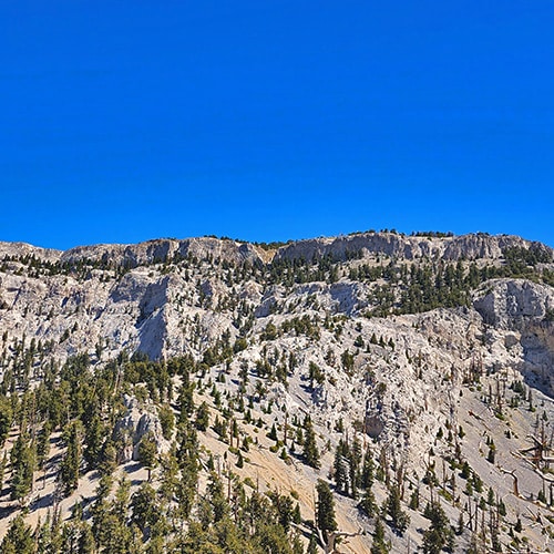 Mummy Mountain Grand Crossing | Lee Canyon to Deer Creek Road | Mt Charleston Wilderness | Spring Mountains, Nevada |