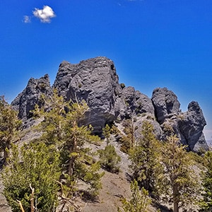 Black Rock Sister | Mt Charleston Wilderness | Lee Canyon | Spring Mountains, Nevada