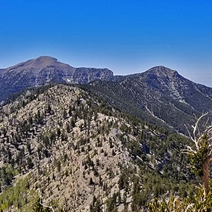 Fletcher Peak, Mummy Mountain, Lee Peak Circuit | Mt. Charleston Wilderness | Spring Mountains, Nevada