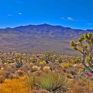 Gass Peak Road | Desert National Wildlife Refuge, Nevada