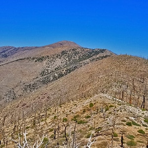 Griffith Peak South Approach from Lovell Canyon | Spring Mountains, Nevada