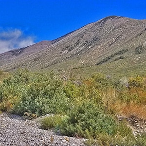 Harris Mountain from Lovell Canyon | La Madre Mountains Wilderness | Spring Mountains, Nevada