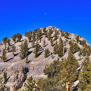 Lee Peak from Kyle Canyon | Mt Charleston Wilderness | Spring Mountains, Nevada
