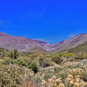 Lovell Canyon Overview | La Madre Mountains Wilderness | Spring Mountains, Nevada