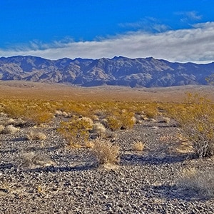 Lower Alamo Road | Sheep Range | Desert National Wildlife Refuge, Nevada