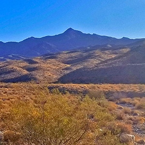 Mt. Wilson, Black Mountains, Arizona, Adjacent to Lake Mead National Recreation Area