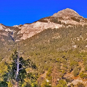 Mummy Mountain’s Head from Deer Creek Rd | Mt. Charleston Wilderness | Spring Mountains, Nevada