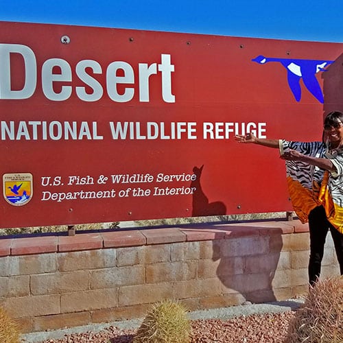 Visitor Center | Sheep Range | Desert National Wildlife Refuge, Nevada