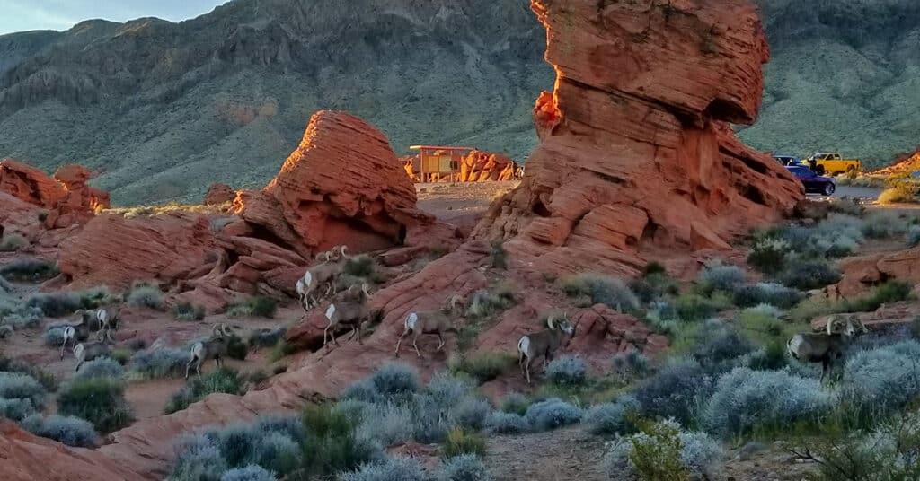Valley of Fire Park Exploration – 6 Day Strategy, Nevada