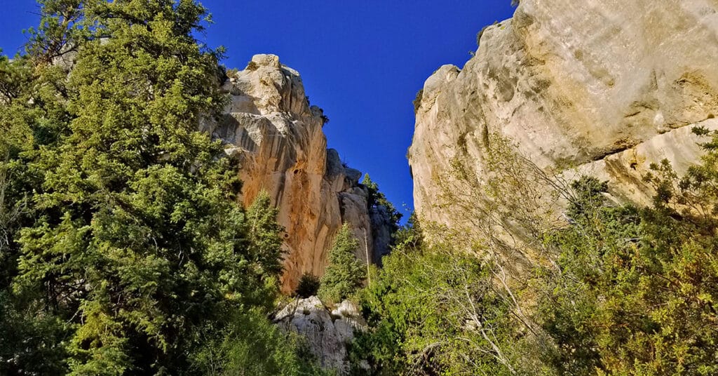 Robbers Roost and Beyond | Mt Charleston Wilderness | Spring Mountains, Nevada