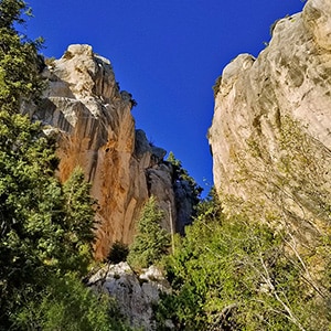 Robbers Roost and Beyond | Mt Charleston Wilderness | Spring Mountains, Nevada