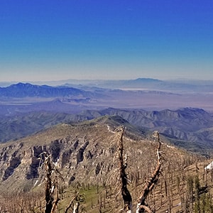 Sexton Ridge Descent from Griffith Peak | Mt Charleston Wilderness | Spring Mountains, Nevada