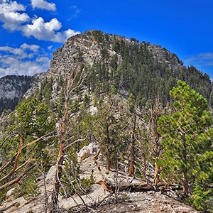 Sisters North | Lee Canyon | Mt Charleston Wilderness | Spring Mountains, Nevada