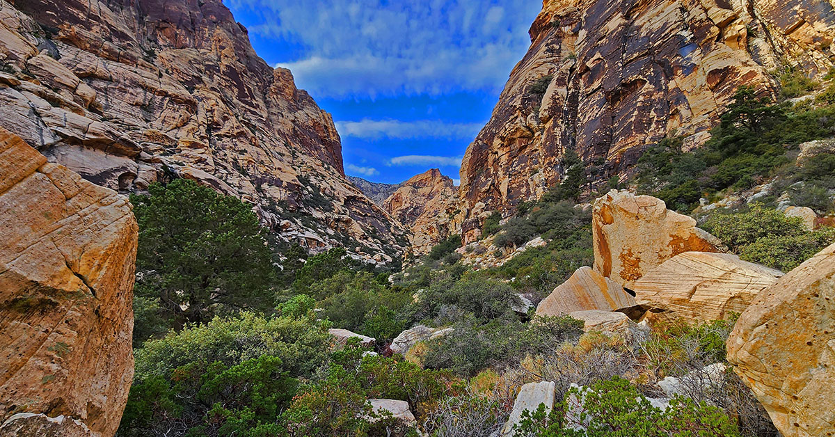 Oak Creek Spring Rainbow Mountains - Feature Image Rainbow Mid Ridge Nevada 