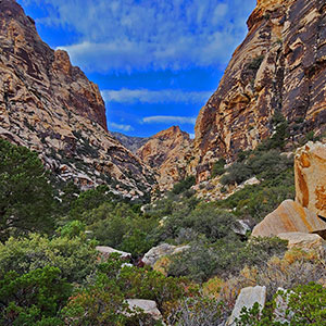 Oak Creek Canyon North Branch to Rainbow Mountains Upper Crest Ridgeline, Nevada