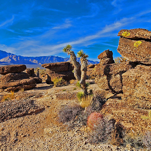 Western Trails and Ridges | Blue Diamond Hill, Nevada