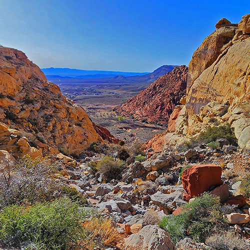 Ash Canyon to Calico Tanks | Calico Basin and Red Rock Canyon, Nevada | David Smith | Las Vegas Area Trails