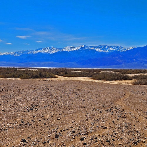 Mesquite Grove | Death Valley, California | David Smith | Las Vegas Area Trails