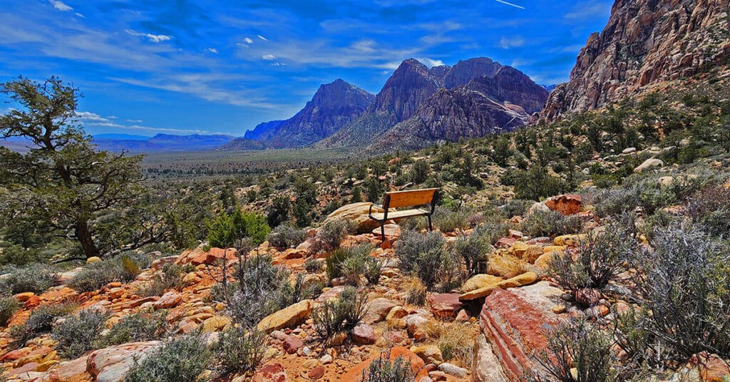 Dales Trail | Red Rock Canyon, Nevada | David Smith | LasVegasAreaTrails.com