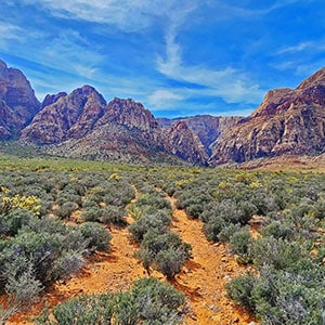 Historic Road in Pine Creek Canyon | Red Rock Canyon NCA, Nevada