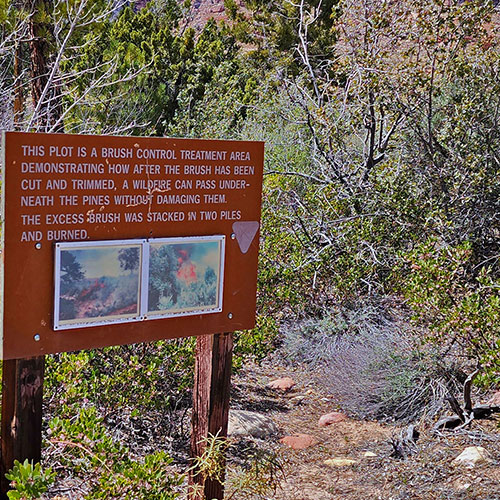 Fire Ecology Trail | Pine Creek Canyon | Red Rock Canyon NCA, Nevada | David Smith | LasVegasAreaTrails.com
