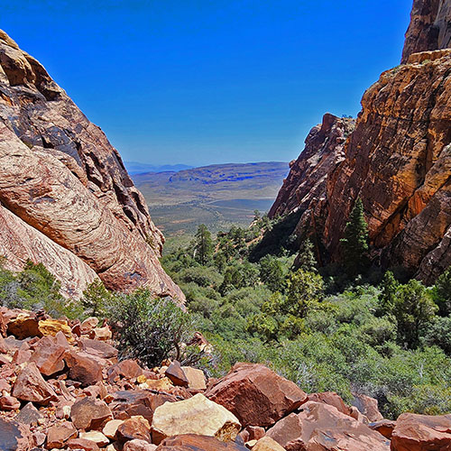 Juniper Canyon | Red Rock Canyon National Conservation Area, Nevada | David Smith | LasVegasAreaTrails.com