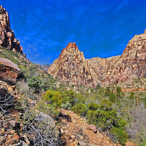 Knoll Trail | Red Rock Canyon, Nevada | David Smith | LasVegasAreaTrails.com