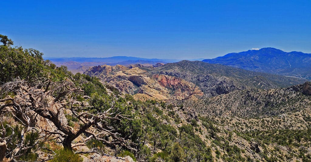 Mt Wilson to Hidden Peak | Upper Crest Ridgeline | Rainbow Mountain Wilderness, Nevada