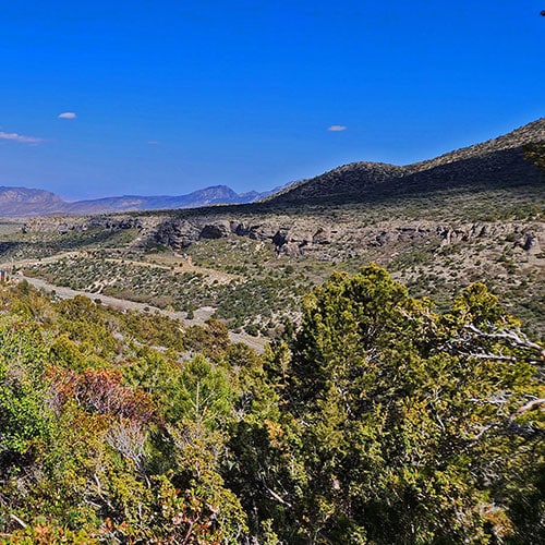 Escarpment Trail | Mt Charleston Wilderness | Spring Mountains, Nevada