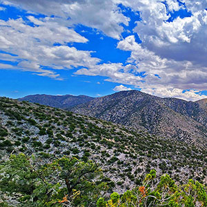 North Ridge of South Spring Canyon | Lovell Canyon, Nevada