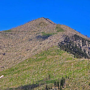 Fletcher Canyon Trailhead / Harris Mt Griffith Peak Circuit | Mt Charleston Wilderness, Nevada