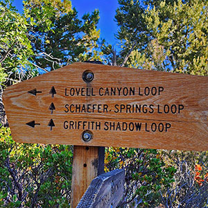 Griffith Shadow Loop | Lovell Canyon, Nevada