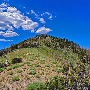 Wilson Ridge to Harris Mountain Summit | Lovell Canyon, Nevada