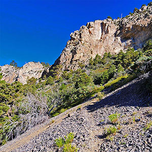 Fletcher Canyon / Fletcher Peak / Cockscomb Ridge Circuit | Mt Charleston Wilderness, Nevada