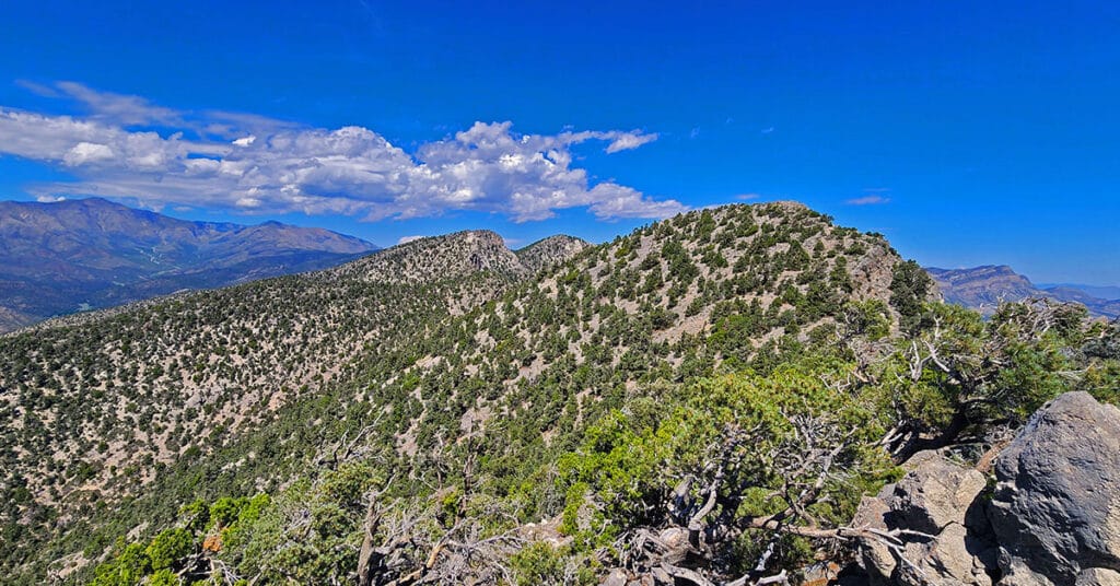 Red Rock Summit | Lovell Canyon & Rainbow Mountain Wilderness, Nevada