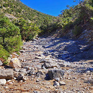 Rocky Gap Rd to Bridge Mt Trailhead | Lovell Canyon, Nevada