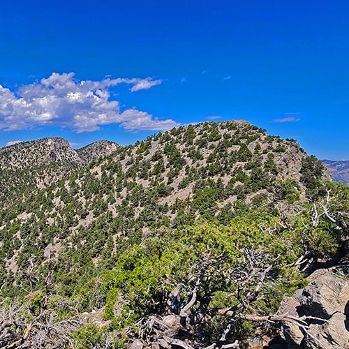Red Rock Summit | Lovell Canyon & Rainbow Mountain Wilderness, Nevada