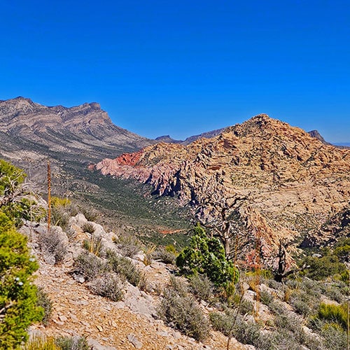 Switchback Spring Ridge | Red Rock Canyon, Nevada