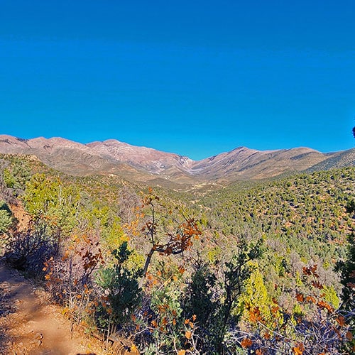 Lovell Canyon Trail & Loop | Lovell Canyon, Nevada