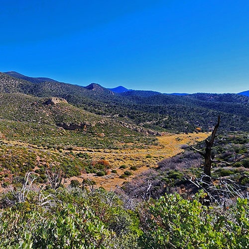 Schaefer Springs Loop Trail | Lovell Canyon, Nevada