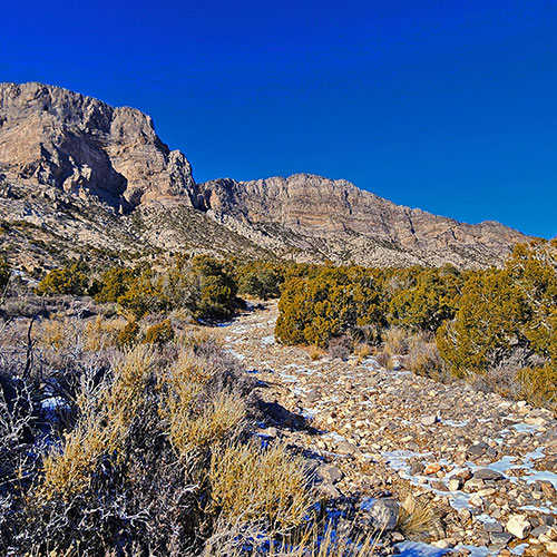 Brownstone Trail | Calico Basin | Brownstone Basin | La Madre Mountains Wilderness, Nevada